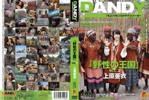 DANDY-368 「野性之王國」VOL.2 上原亞衣 上原亞衣