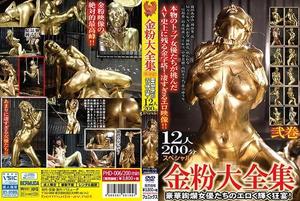 PHD-006 金粉大全集 弐巻 12人200分スペヤル！豪華絢爛女優たちのエロく輝く狂宴！ 飯岡加奈子 篠田步美 AIKA 吹石玲奈 二宮和香 神波多一花 推川悠里 卯水咲流 西田卡莉娜 神納花 飯岡加奈子 Maika 中里美穂 Maika（MEW）